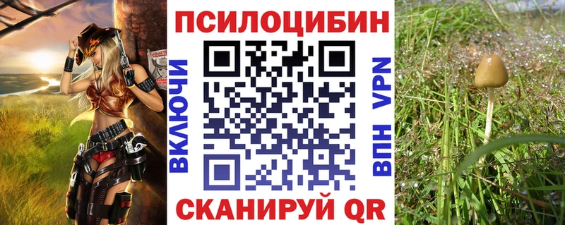 Псилоцибиновые грибы Cubensis  купить  цена  ссылка на мегу вход  Нязепетровск 